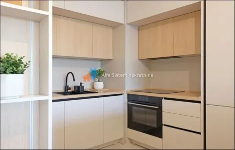 Rent, three bedroom apartment, 73m², Savski Venac, Beograd - image 9
