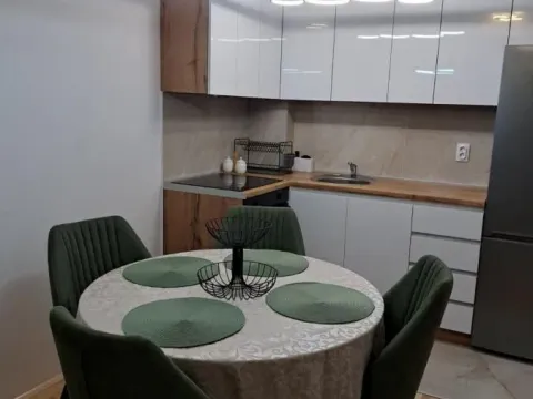 Izdavanje, dvosoban stan, 45m², Pantelej, Niš - image 2