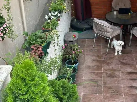 Prodaja, trosoban stan, 105m², Bulbulder, Zvezdara Sve Podlokacije - image 17