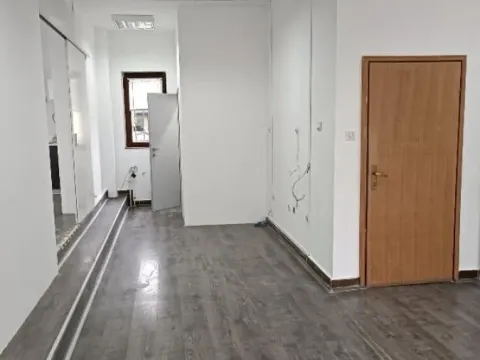 Izdavanje, poslovni prostor, 100m², Misa, Pančevo - image 4