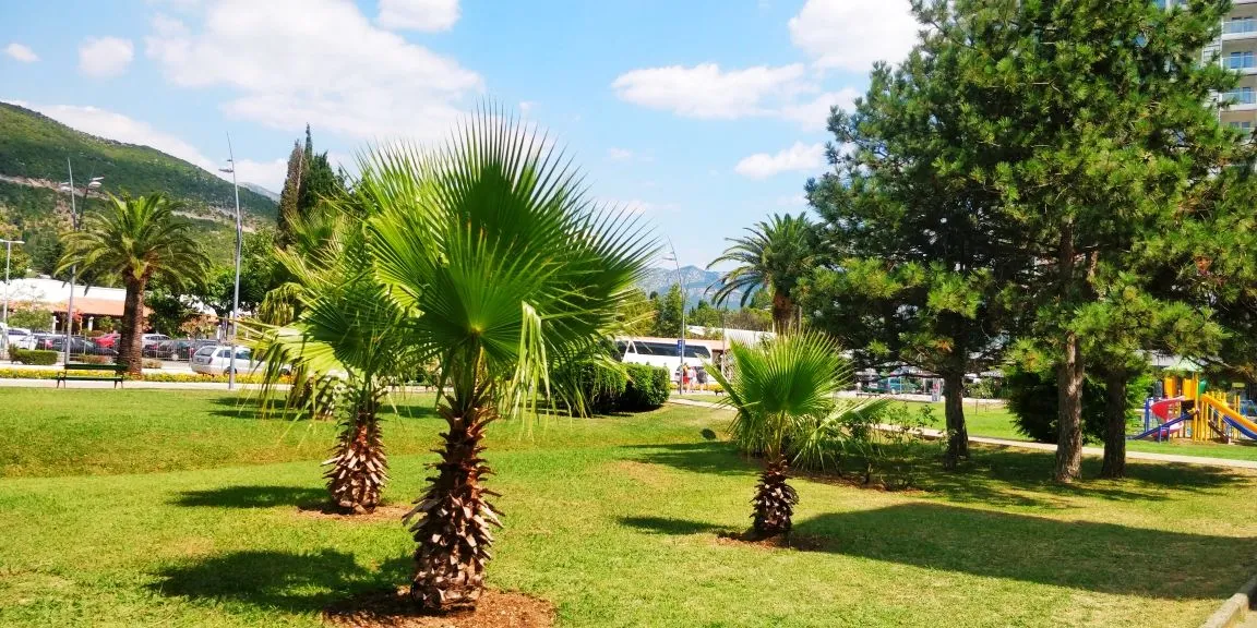 Rent, apartment, 46m², Budva, Crna Gora