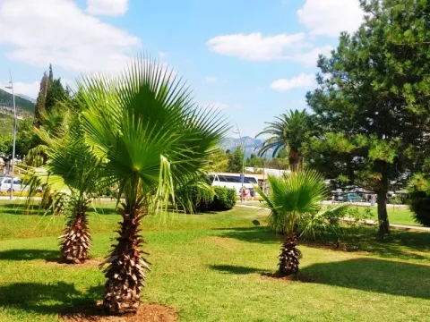 Rent, apartment, 46m², Budva, Crna Gora - image 10