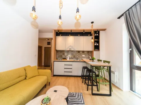 Prodaja, jednosoban stan, 39m², Kolašin, Crna Gora - image 4