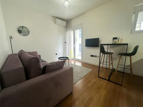 Izdavanje, garsonjera, 24m², Zagorič, Podgorica - image 1