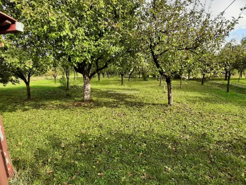 Sale, house, Begovina, Danilovgrad - image 13