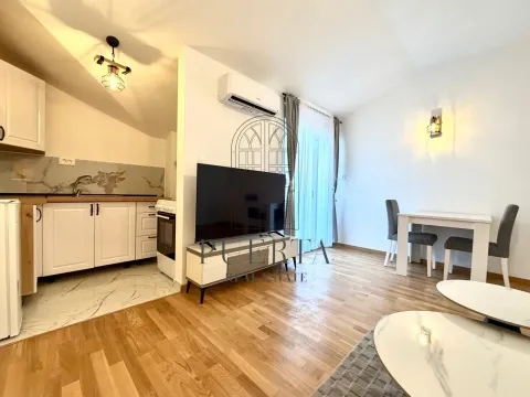 Rent, studio apartment, 28m², Zagorič, Podgorica - image 3