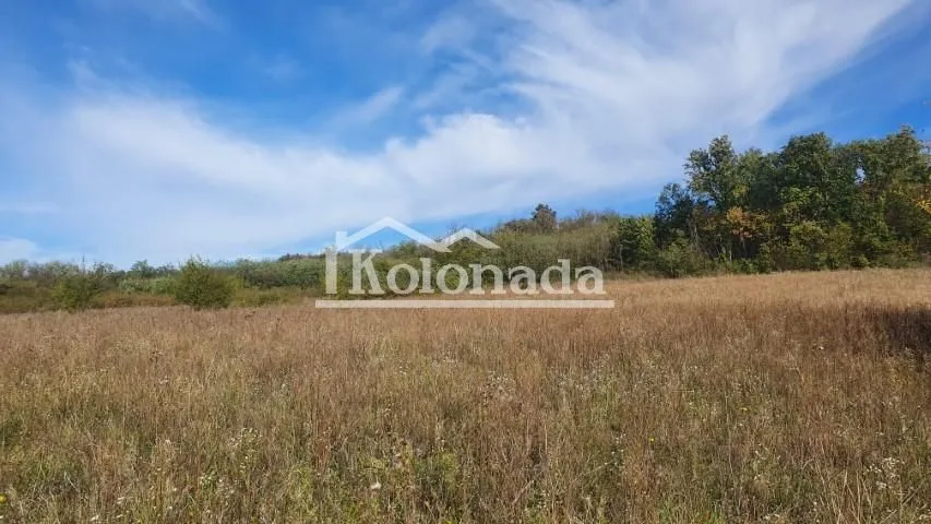 Prodaja, plac, 9500m², Parcani, Sopot