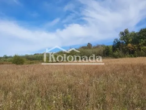 Prodaja, plac, 9500m², Parcani, Sopot - image 5