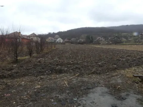 Prodaja, kuća, 80m², Majur, Jagodina - image 3