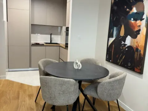 Izdavanje, jednosoban stan, 40m², Central Point, Podgorica - image 10