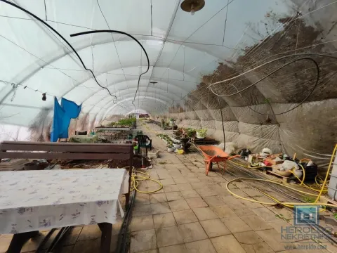 Prodaja, kuća, 203m², Jagodina, Srbija - image 19