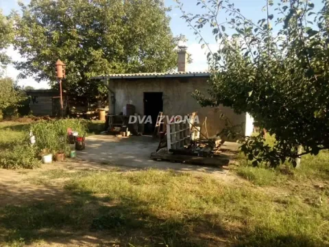 Prodaja, plac, 800m², Čortanovci, Inđija - image 1