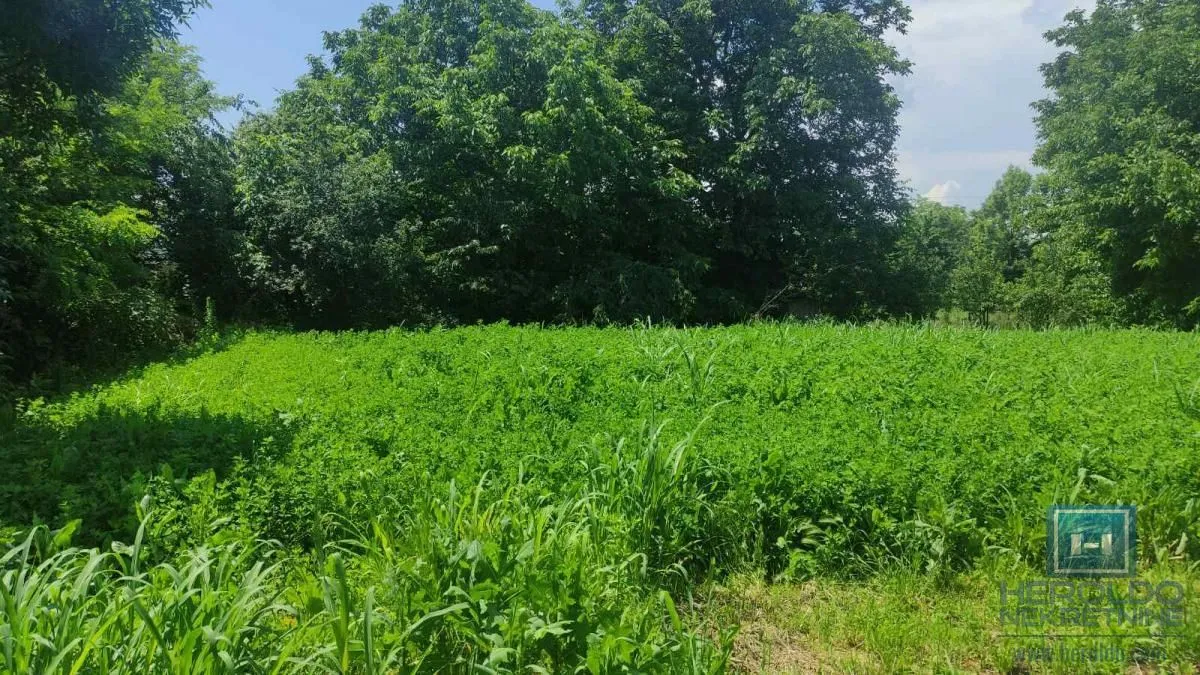 Prodaja, kuća, 75m², Ribare, Jagodina