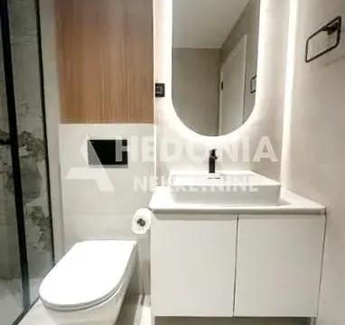 Izdavanje, dvosoban stan, 50m², Vračar Sve Podlokacije, Beograd - image 10