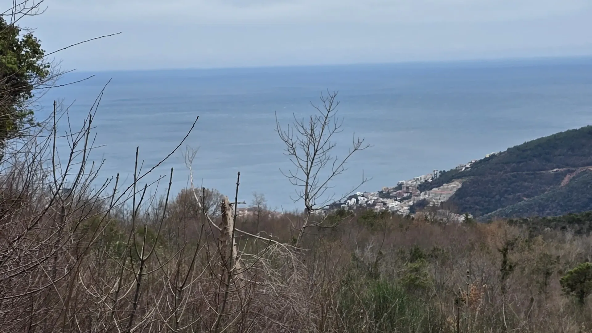 Prodaja, plac, 5135m², Markovići, Budva