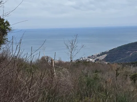 Sale, land lot, 5135m², Markovići, Budva - image 4