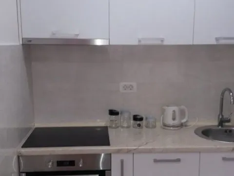 Izdavanje, jednosoban stan, 47m², Central Point, Podgorica - image 7