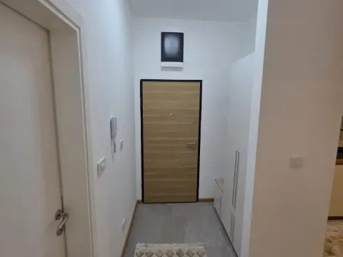 Rent, one bedroom apartment, 50m², Zabjelo, Podgorica - image 2