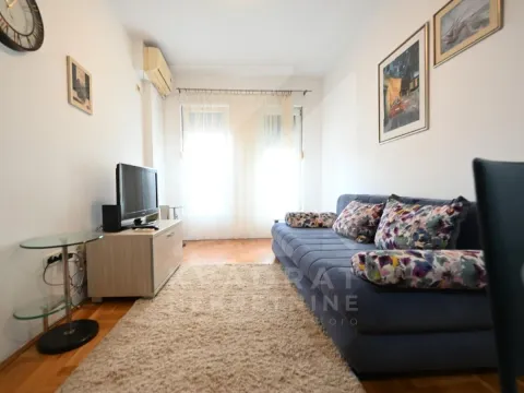 One Bedroom Apartment for Rent, 45m2, Zagorič, Podgorica One Bedroom Apartment for Rent, 45m2, Zagorič, Podgorica