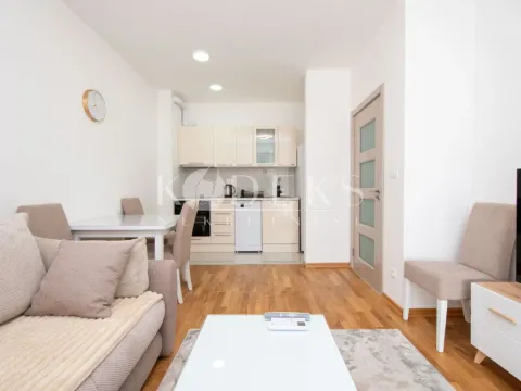Izdavanje, jednosoban stan, 39m², Zabjelo, Podgorica - image 1