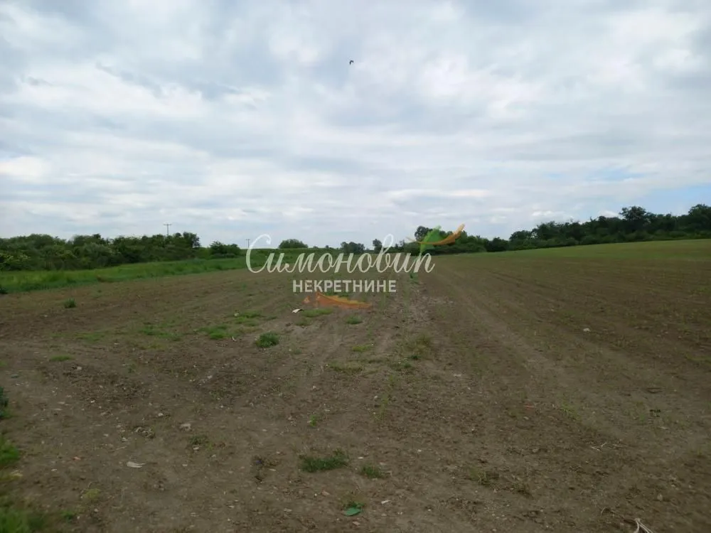 Sale, land lot, 8700m², Surčin, Beograd