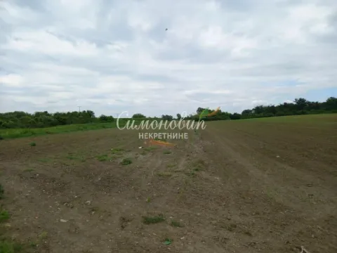 Prodaja, plac, 8700m², Surčin, Beograd - image 5