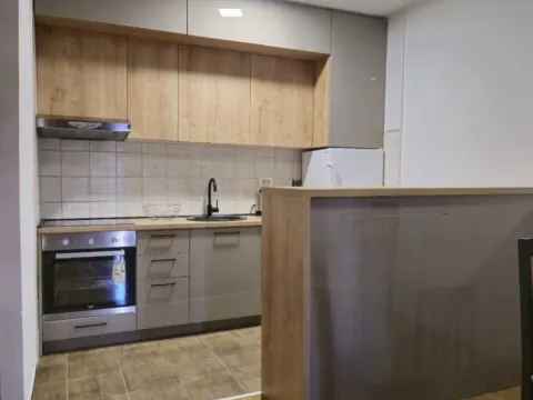 Prodaja, jednosoban stan, 48m², Zabjelo, Podgorica - image 2
