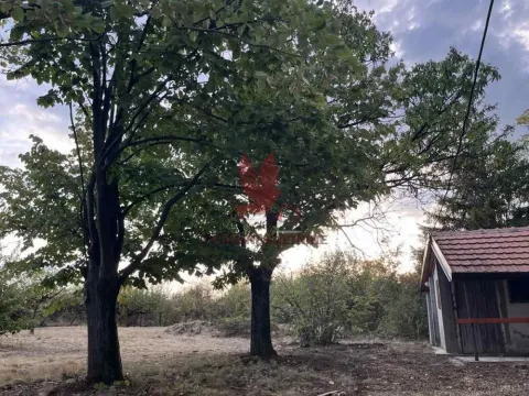 Prodaja, kuća, 50m², Mladenovac, Beograd - image 4