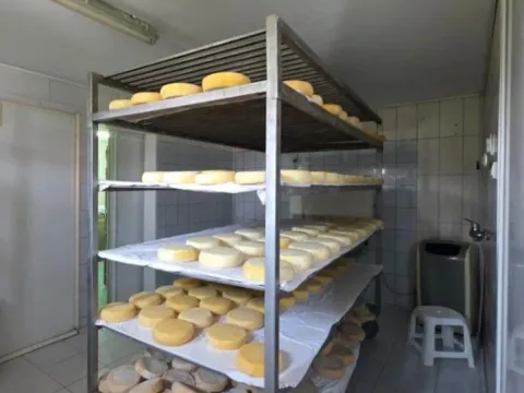 Sale, office space, 130m², Humci, Cetinje - image 5