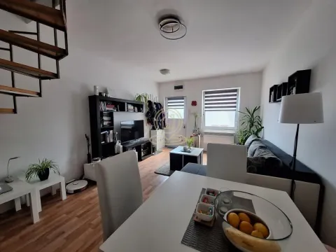 Prodaja, dvosoban stan, 50m², Telep, Novi Sad Sve Podlokacije - image 5