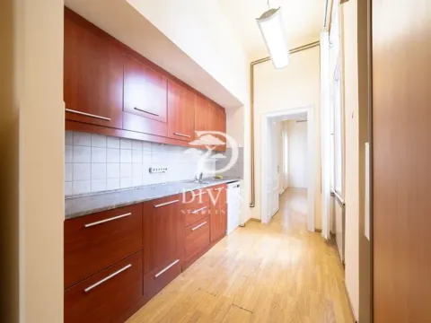 Izdavanje, poslovni prostor, 255m², Vračar Centar, Vračar Sve Podlokacije - image 4