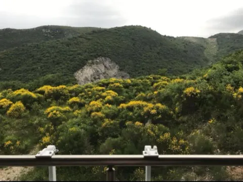 Prodaja, dvosoban stan, 68m², Bečići, Budva - image 5