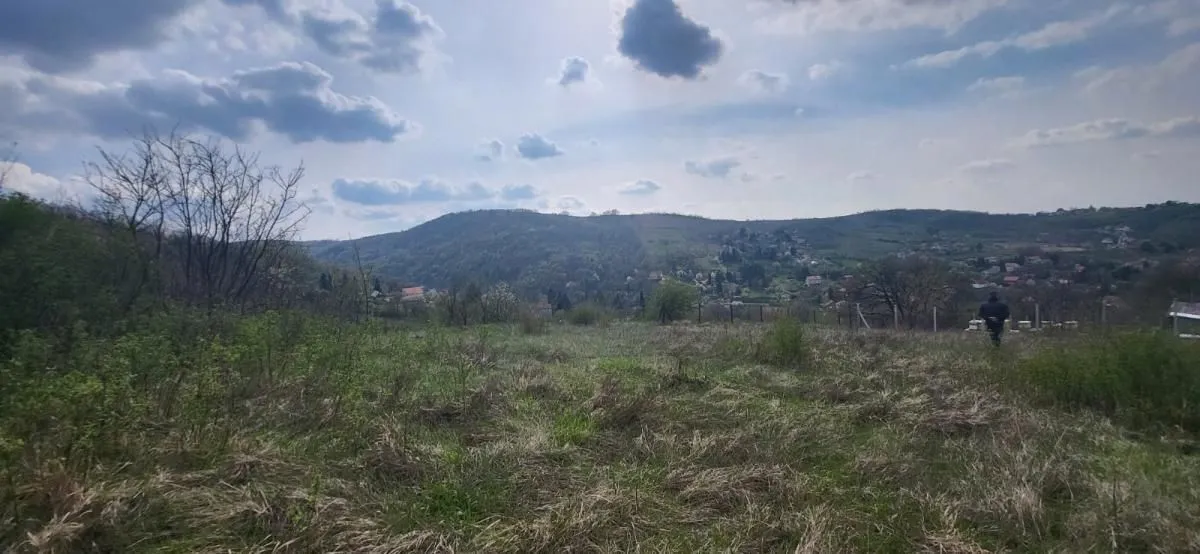 Sale, land lot, 2800m², Beočin, Srbija