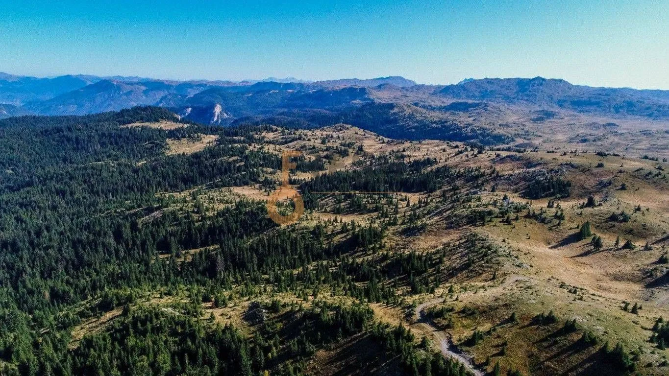 Prodaja, plac, 184880m², Žabljak, Crna Gora