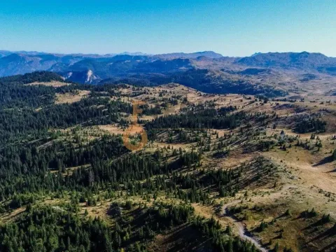 Prodaja, plac, 184880m², Žabljak, Crna Gora - image 6