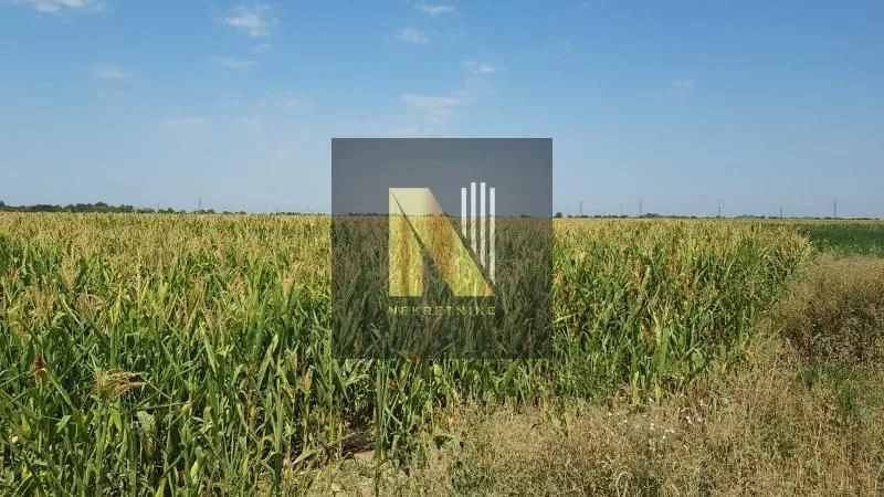 Prodaja, plac, 9300m², Klisa, Novi Sad Sve Podlokacije