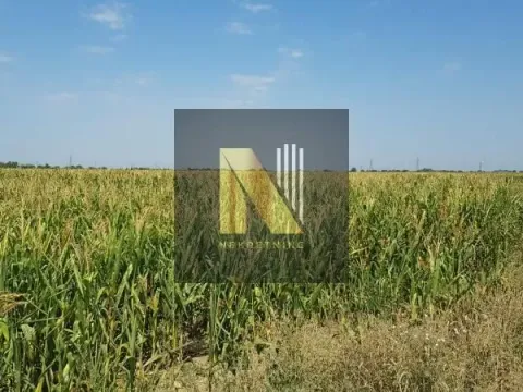 Prodaja, plac, 9300m², Klisa, Novi Sad Sve Podlokacije - image 5