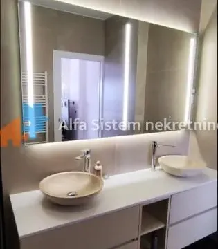 Izdavanje, stan, 231m², Vračar Hram, Vračar Sve Podlokacije - image 9