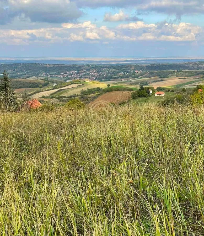 Prodaja, plac, 2500m², Sremska Kamenica, Petrovaradin