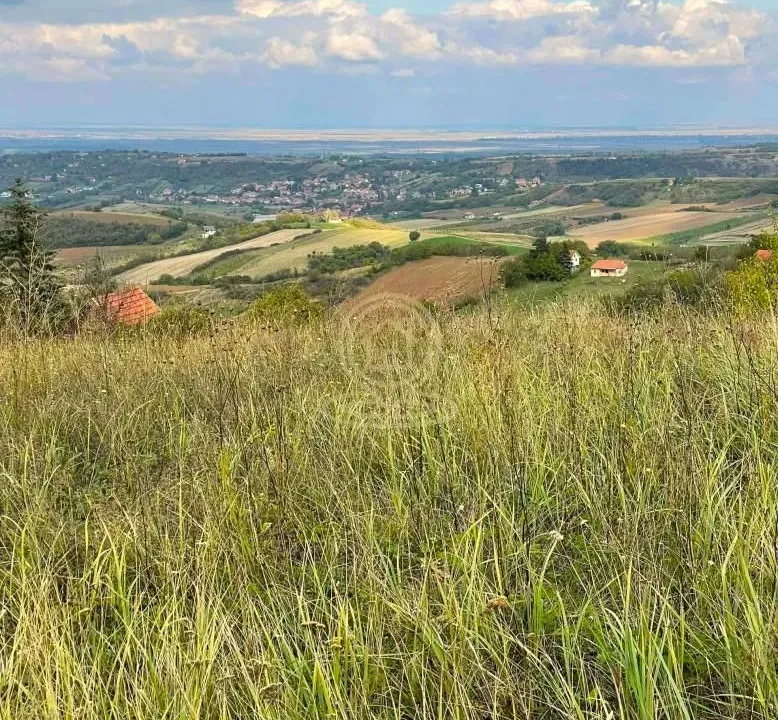 Sale, land lot, 2500m², Sremska Kamenica, Petrovaradin