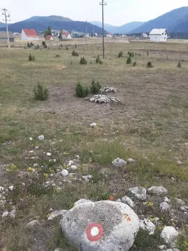 Prostrani travnati plac u planinskom predjelu sa kućama u pozadini. - image 4