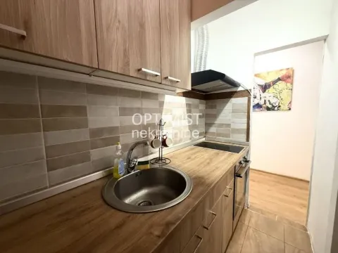 Izdavanje, dvosoban stan, 38m², Stari Grad, Beograd - image 4