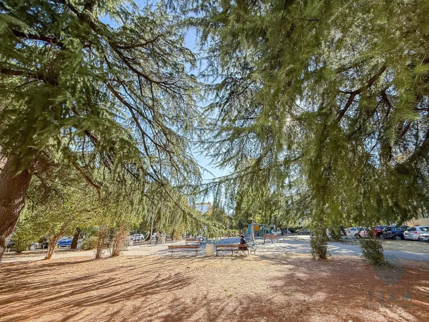Park with trees and benches in front of the building.