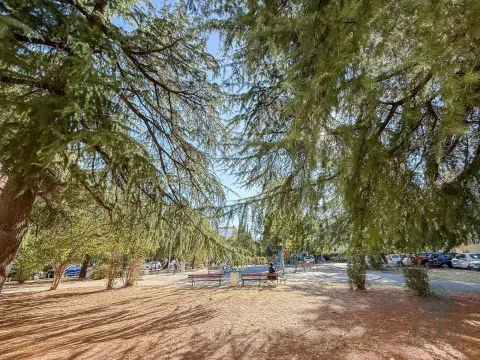 Park with trees and benches in front of the building. - image 9