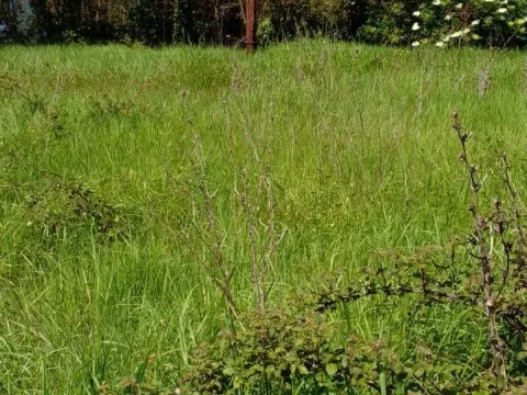 Prodaja, plac, 1550m², Zaljevo, Bar - image 7