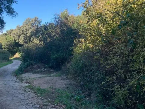 Sale, land lot, 1594m², Utjeha, Bar - image 2