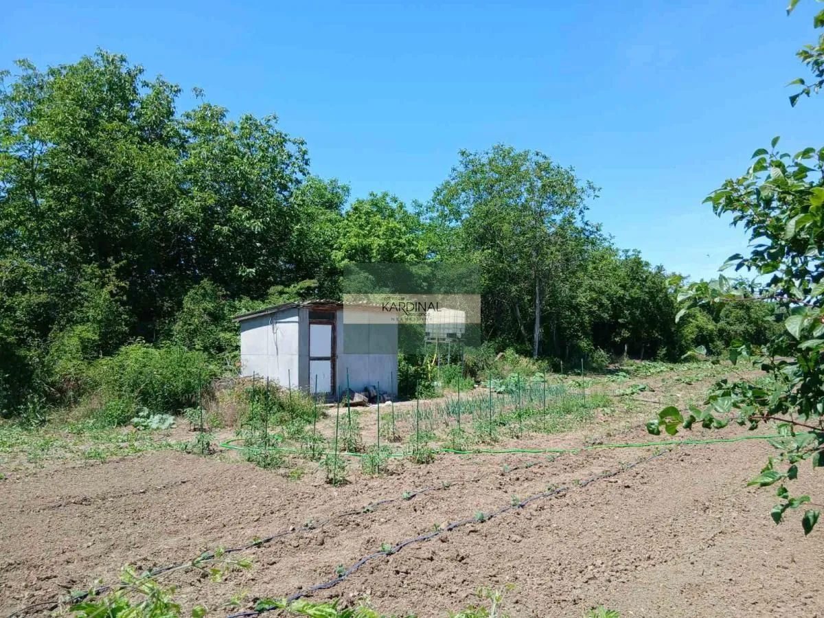 Prodaja, plac, 1494m², Kupusara, Jagodina