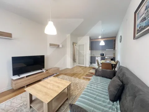 Rent, one bedroom apartment, 49m², Central Point, Podgorica - image 1