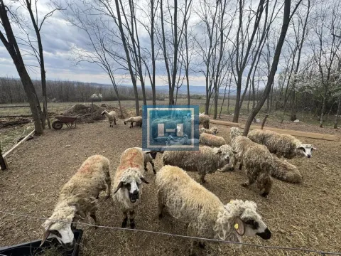 Prodaja, kuća, 36m², Senje, Ćuprija - image 11