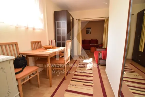 Rent, studio apartment, 30m², Preko Morače, Podgorica - image 7